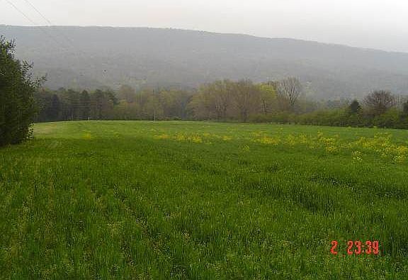 4th image of 4391 Alvin York Hwy