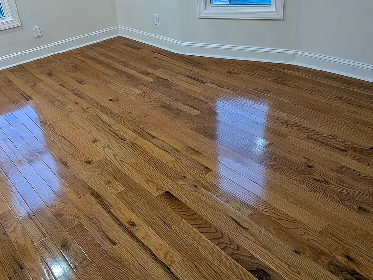 262 Rutledge Ave #2 — Photo 6