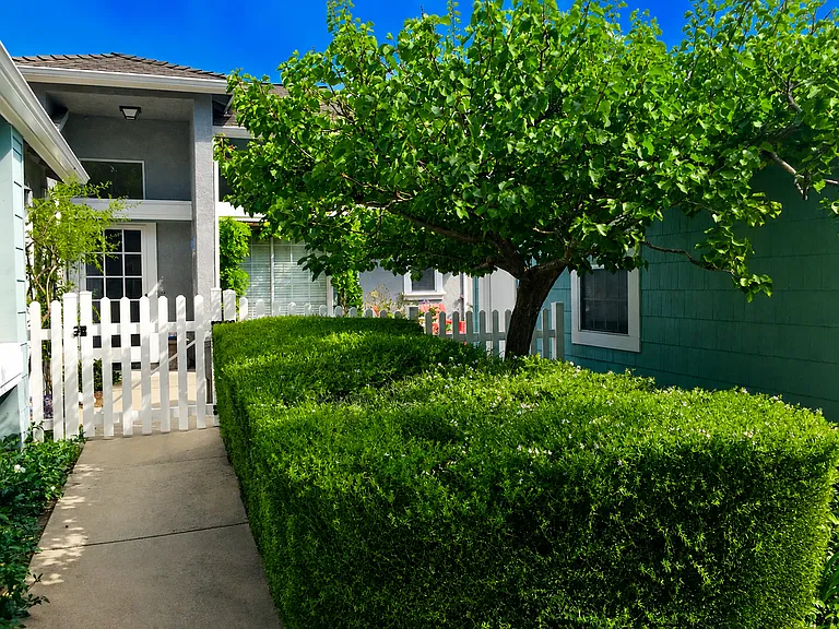 911 Bluebell Way — Photo 12