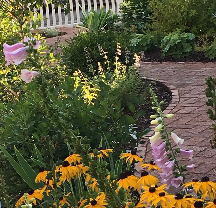 English Garden