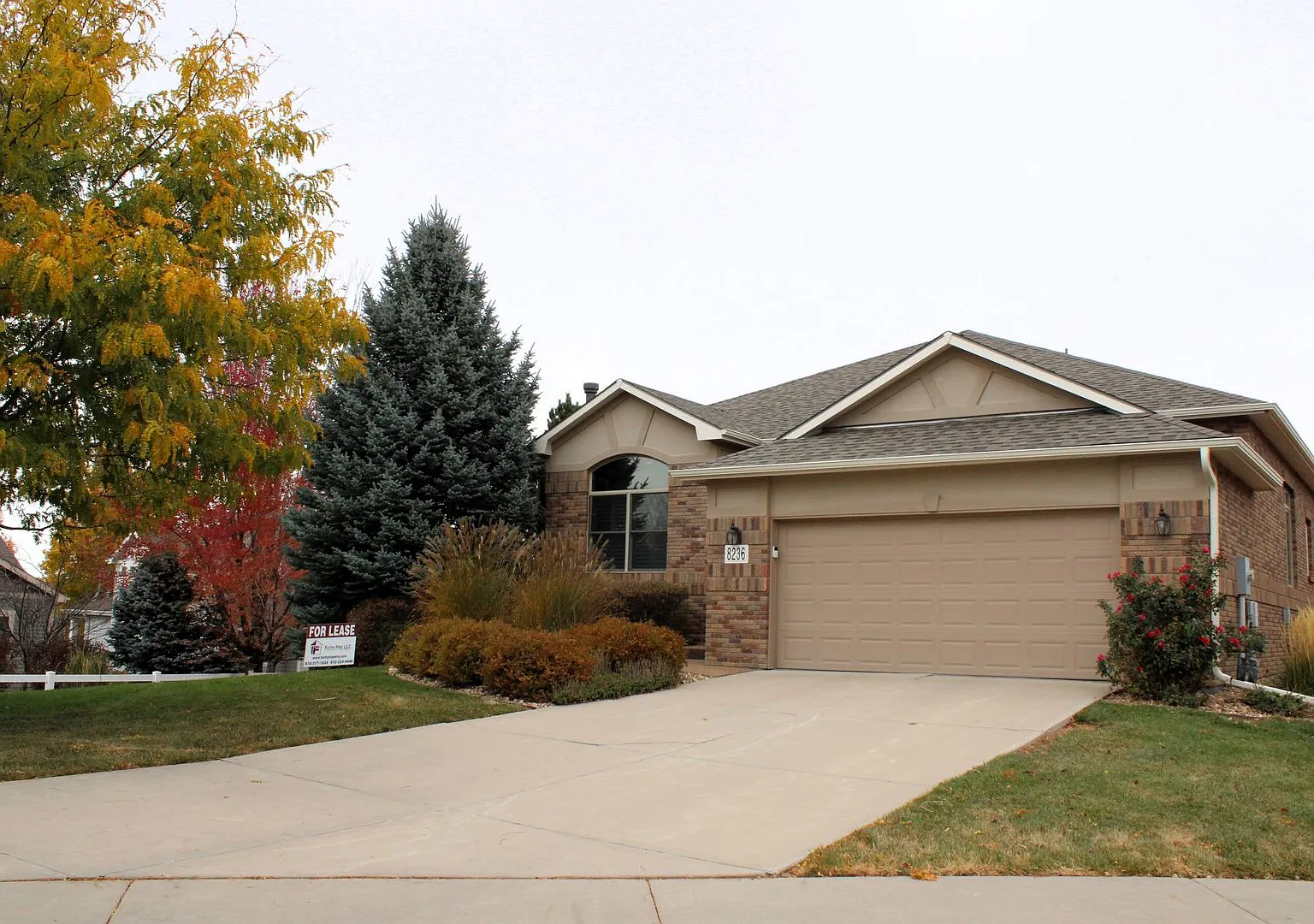 Gorgeous Three Bedroom Home in Windsor — Photo 1