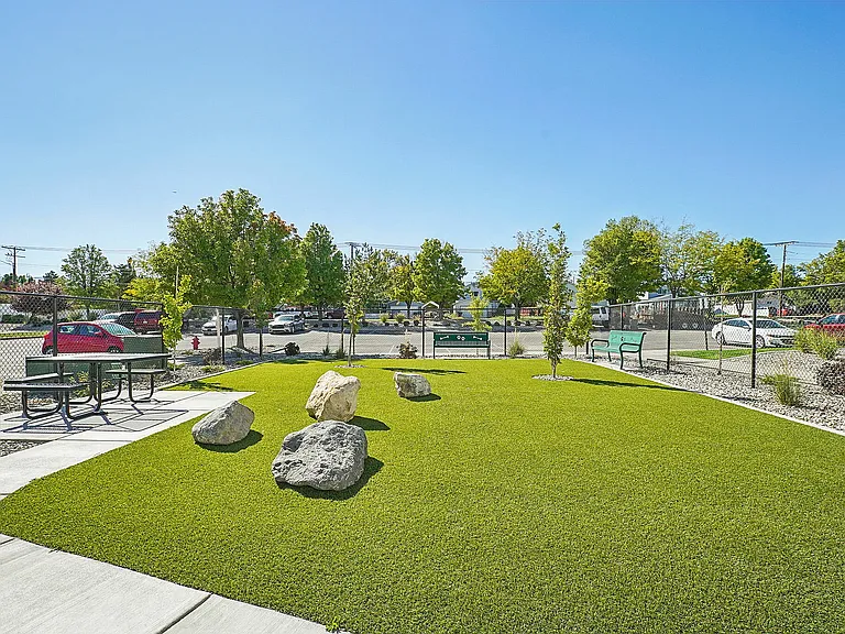 Dog Park