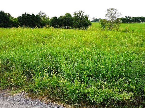 5th image of 2 Mount Horeb Rd Lot 2