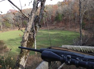 Guinns Cove Rd, Hayden, AL 35079