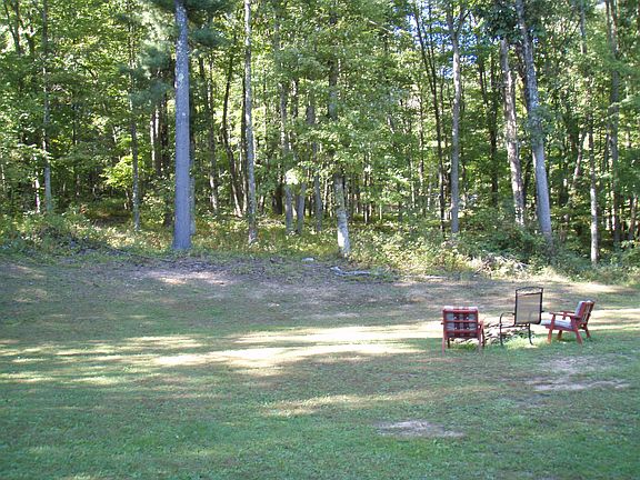 back yard