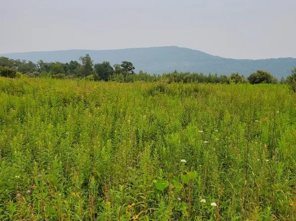 Saint Johns Rd, Drums, PA 18222