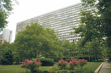 Rented by Olshan Realty