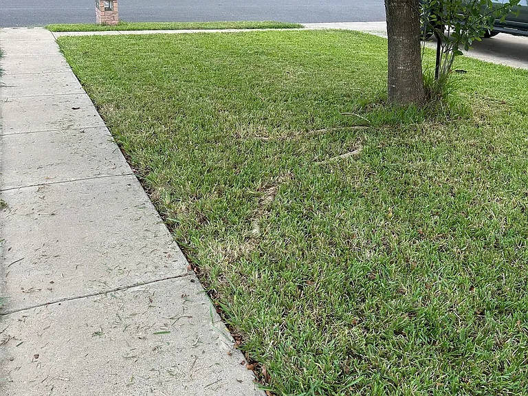 4033 Diego Ln — Photo 6