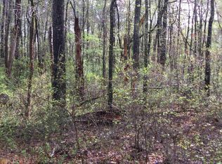 LOT B11 Pinehurst Dr #1, Stockbridge, GA