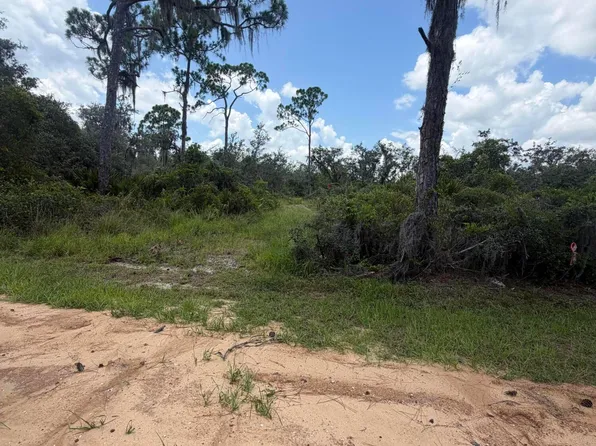 651 Mckinley Street, Lake Placid, FL 33852