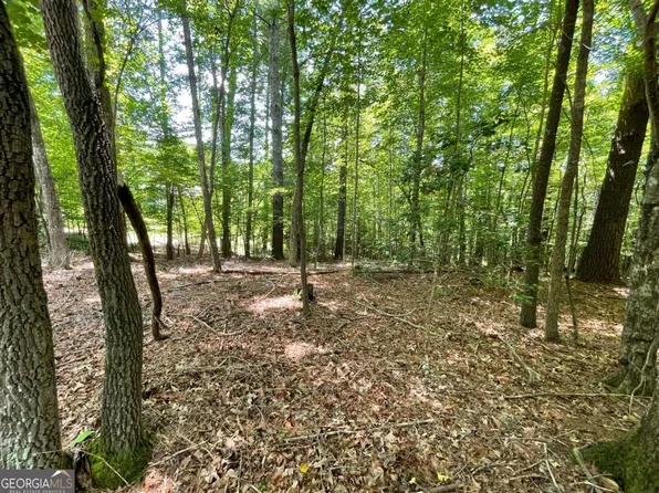 2 Mount Pleasant Rdg #2, Blairsville, GA 30512