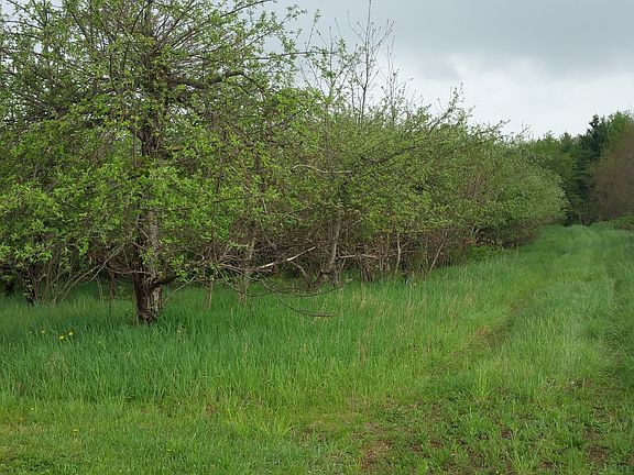 3rd image of 45749 County Road 374