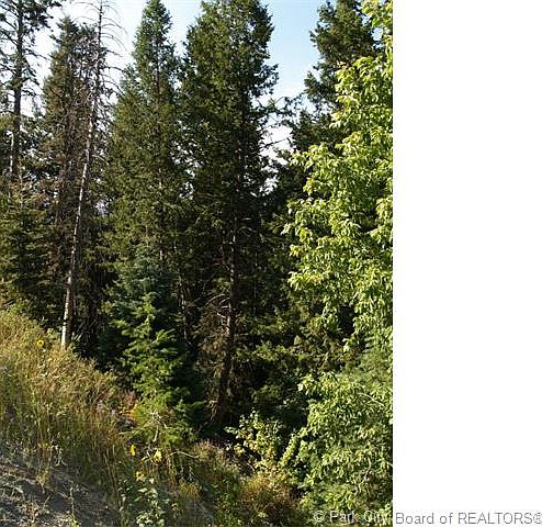2nd image of 460 Matterhorn Dr