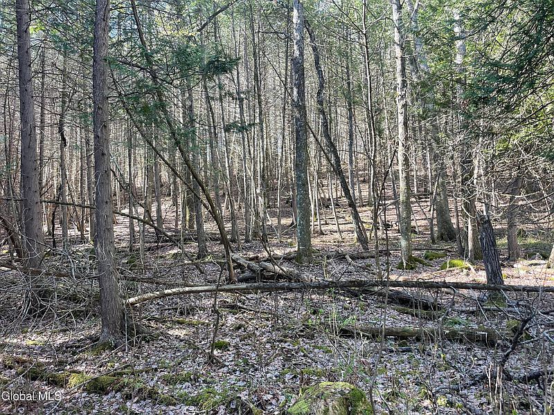3rd image of Lot 26 Highway Route 20