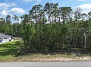 42 Village Center Dr, Homosassa, FL 34446