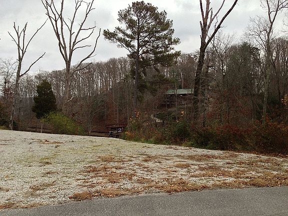 3rd image of Pin Oak Dr