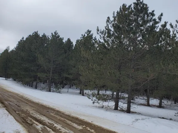 LOT 3 Ponderosa Dr, Staples, MN 56479