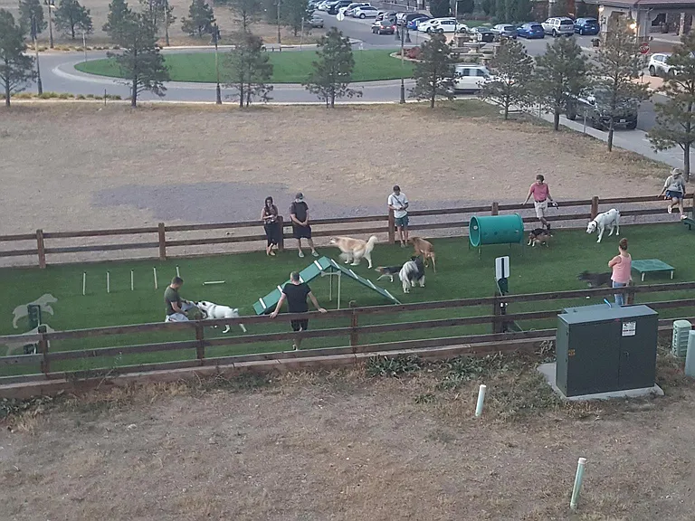 Dog Park