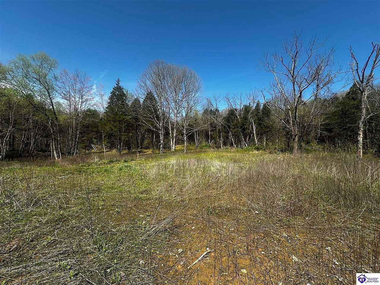 Rd, Payneville, KY 40157 MLS HK24001542 Zillow