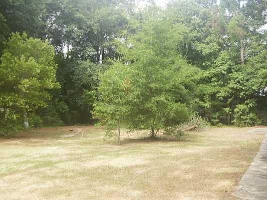 4th image of 4416 Lost Pine Dr