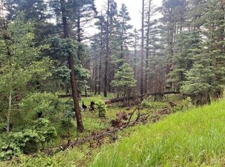County Road 406, La Veta, CO 81055