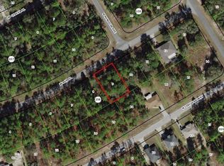920 W Rum Pl, Citrus Springs, FL 34434