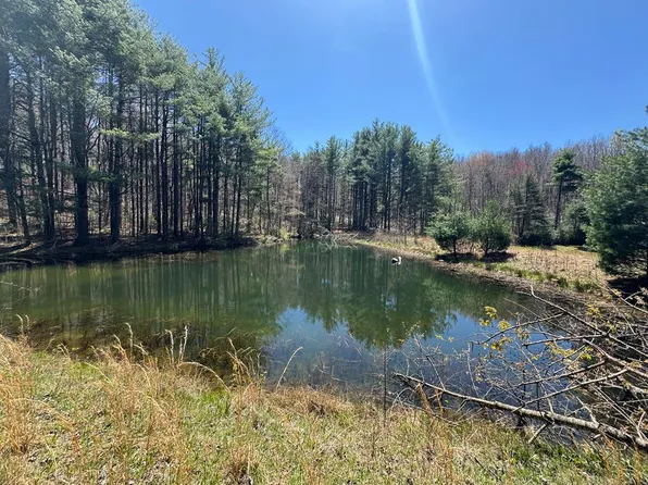 Tbd Cherry Creek Rd, Meadows Of Dan, VA 24120