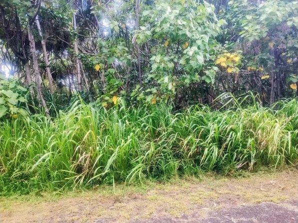 Koaekea St Lot 148, Pahoa, HI 96778