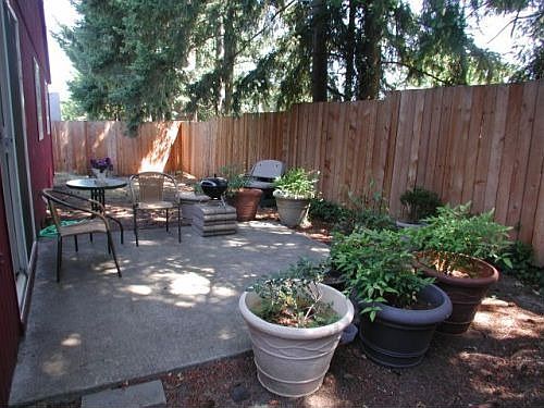 Backyard and patio