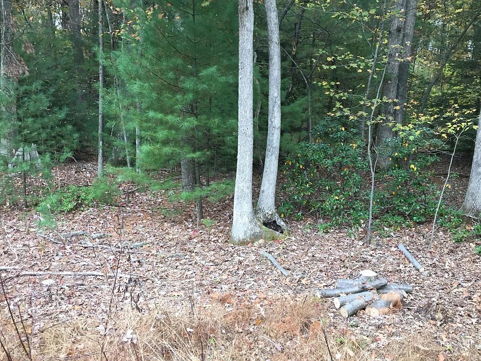 2nd image of 211 Beech Ln