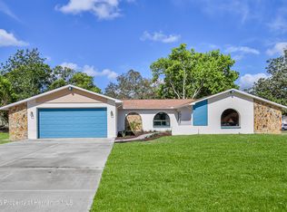 10541 Horizon Dr, Spring Hill, FL 34608