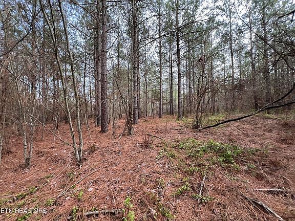 2nd image of 241 Star Lake Way Lot 17