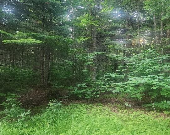 5th image of 37.8-HEC Bettsburg Rd
