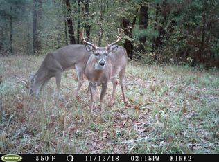 5189 Jack Rd, Utica, MS 39175