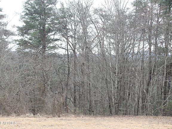 5th image of Meridian Rd