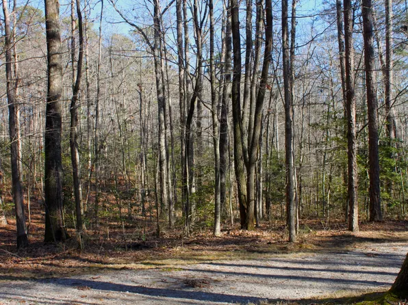 0 Woodfern Ln Lot Sw-1k, Coalmont, TN 37313