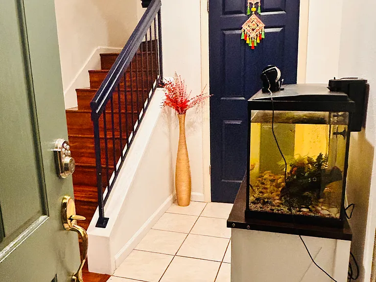 3837 Jasmine Cir — Photo 6