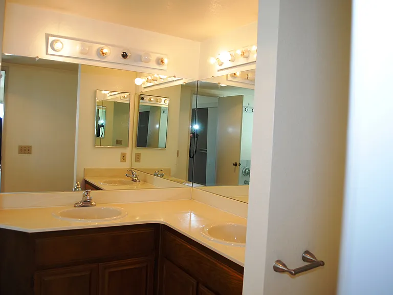 Master bathroom vanitity