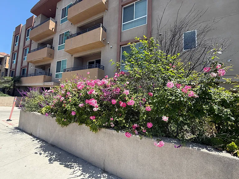 7120 Bellaire Ave #210 — Photo 15