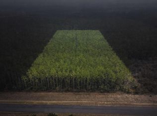 16098 Forest Mill Rd Lot 1, Willis, TX 77378