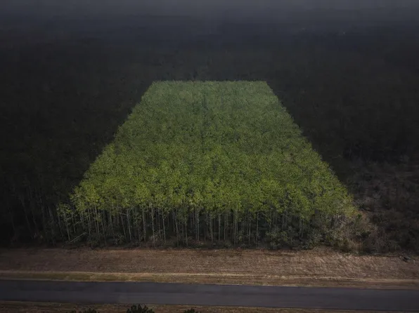 16098 Forest Mill Rd Lot 1, Willis, TX 77378