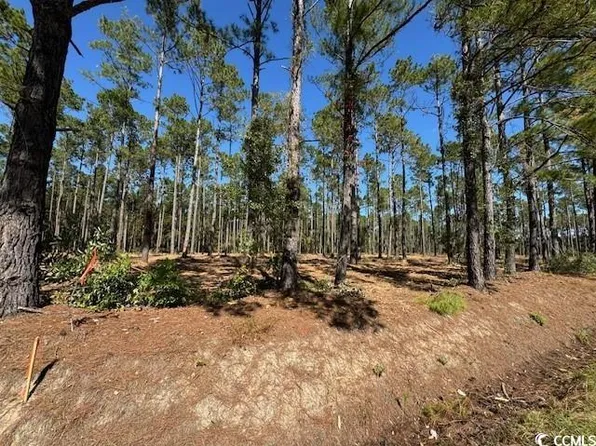 TBD Highway 319 Lot 12 Hwy 319, Aynor, SC 29511