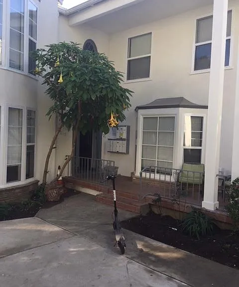 617 Kelton Ave #617 — Photo 4