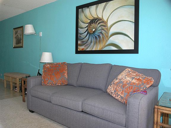 New couch with sleeper