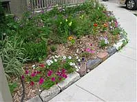 1303 Wilmot St #21 — Photo 10