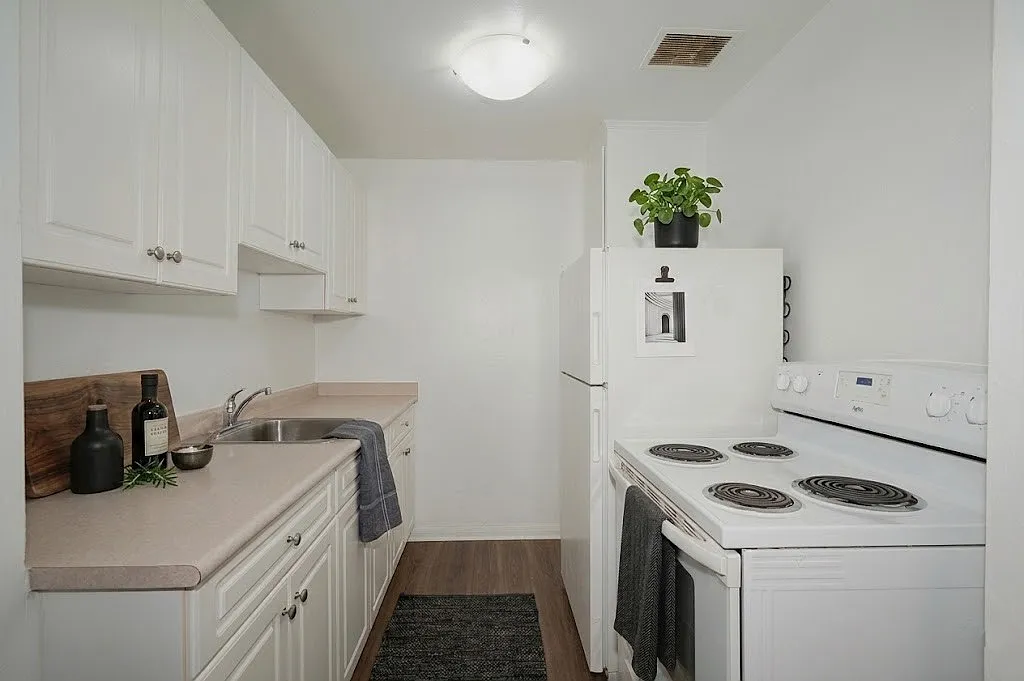 1 bed, $1,295 — Photo 2