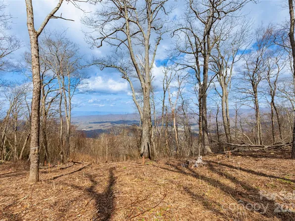 703 Fairview Forest Dr #2, Fairview, NC 28730