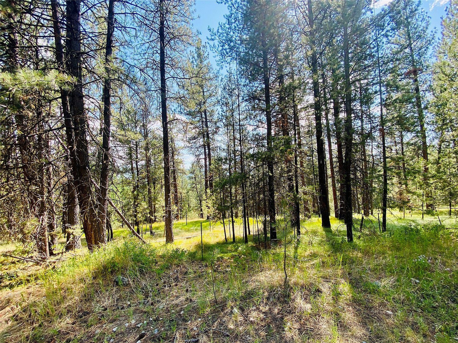 2890 Lower Lost Prairie Rd, Marion, MT 59925 | MLS #30010104 | Zillow