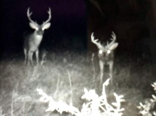 0 Terrys Creek Rd, Magnolia, MS 39652