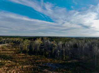 Vincetown Rd LOT WP003, Sandy Hook, MS 39478